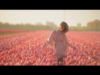 Pink tulips