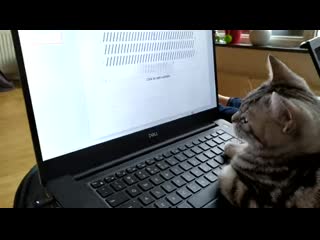 Lending a helping hand later he actually managed to delete an important chunk of code