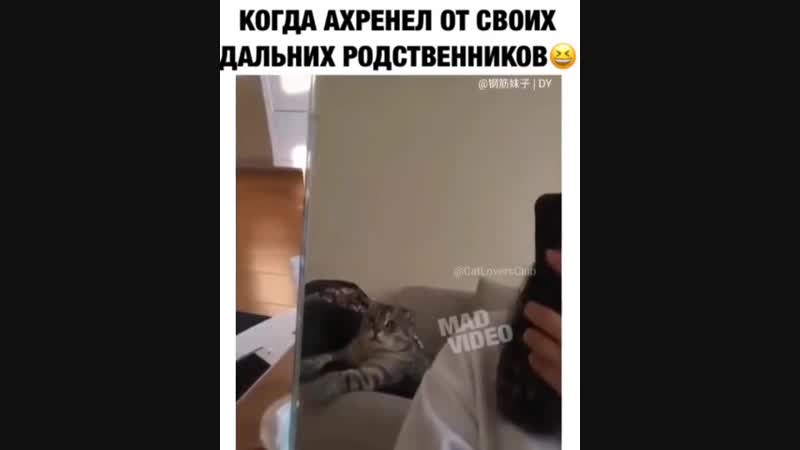 Они что не веганы? 😰