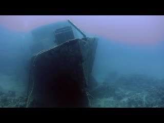 Egypt divers new vid