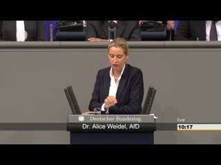 Dr alice weidel (afd) schluss, mit ewig lähmende gerichtsverfahren ausreisepflichtiger 16 05 2019