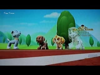 Paw patrol 《balap lari anjing》 [bahasa indonesia]