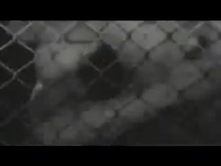 Marky mark /mark wahlberg/ and the funky bunch good vibrations (1991) молодой, накаченный и сексуальный марк уолберг