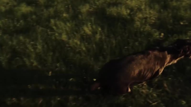 Rauf &amp; faik детство (премьера 2018)