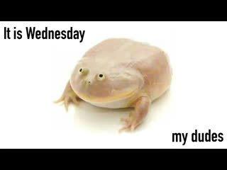 It is wednesday my comrades