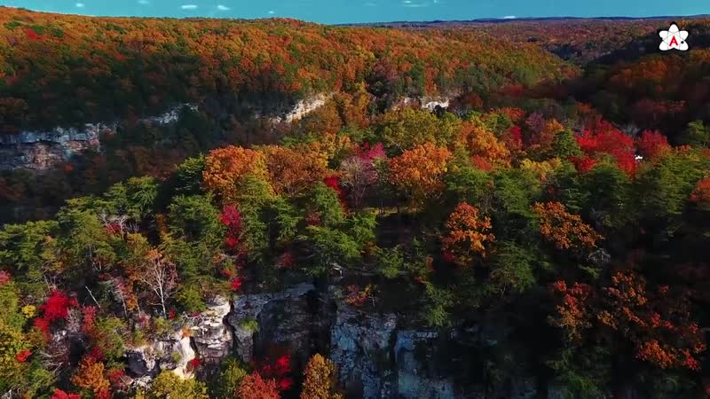 [атеист атеизм] эволюция и разум бог не при делах