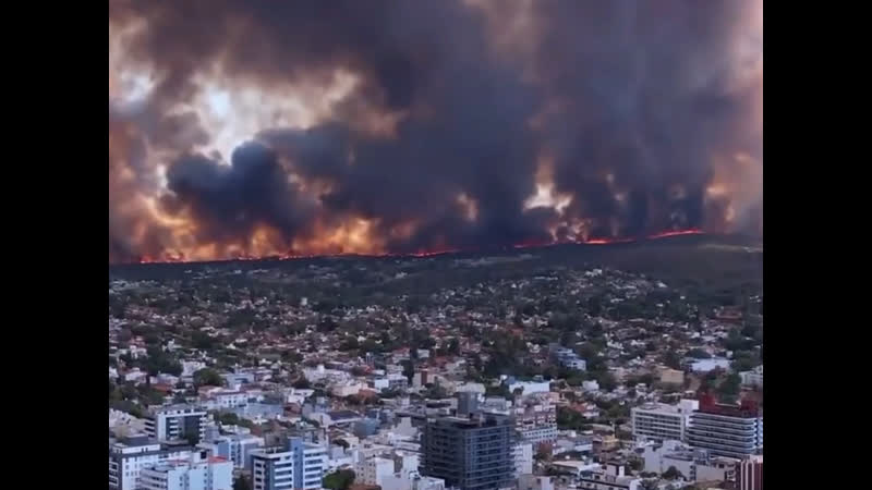 Аргентинец захотел кофейку и разжёг костерок