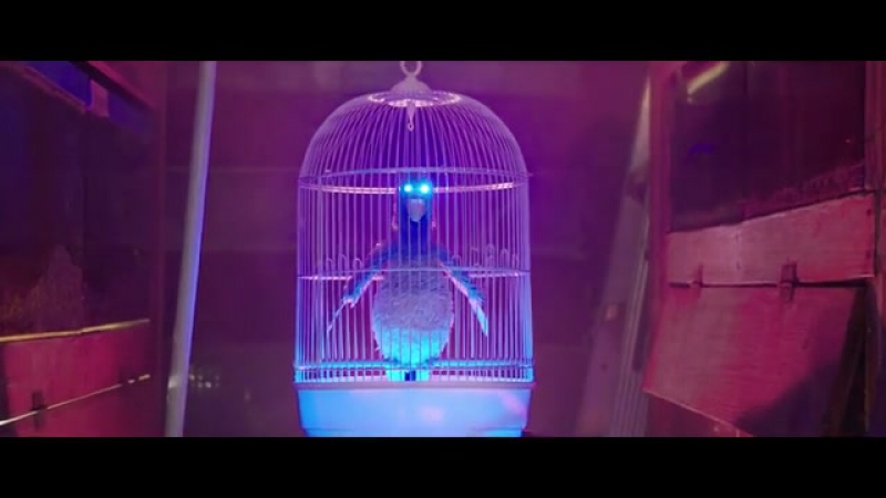 Parakit porn video – The parakit save mе