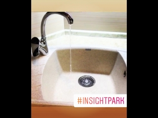 Предпродажная подготоа insightpark