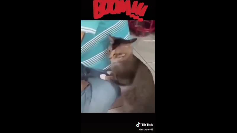 Биологическое оружие