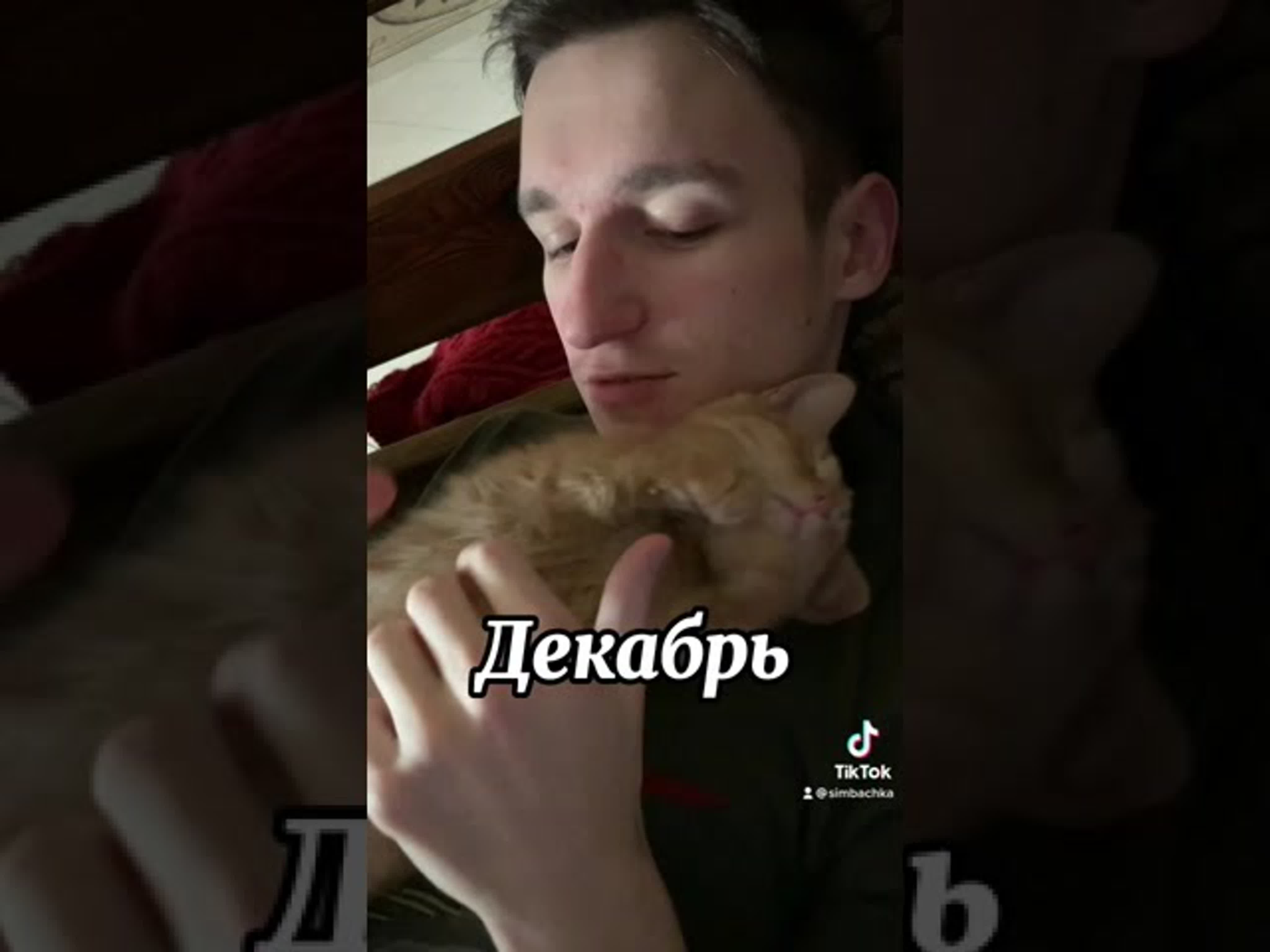 Симба младший вырос, но остался болтушкой😸🥺