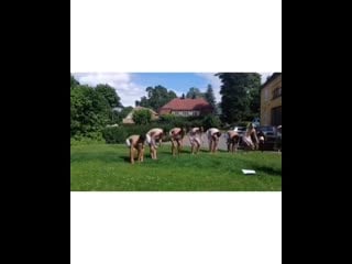 Tarjei sandvik moe peru 2 ccjs1l2h73p mp4