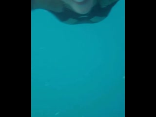 05 elena prokhorova 130574825 415980186249539 49954567351443027 n