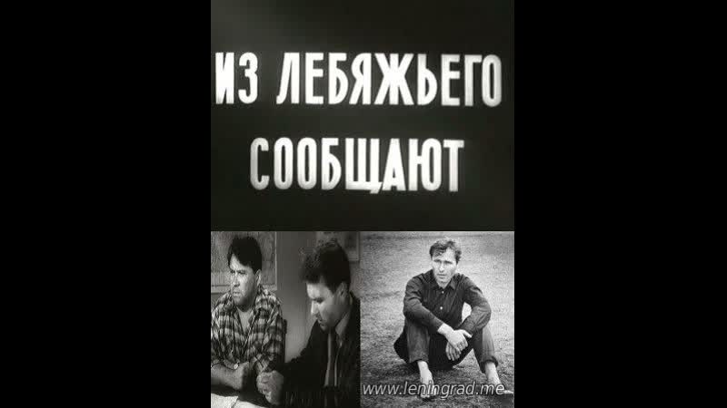 Из лебяжьего сообщают (1960) мосфильм