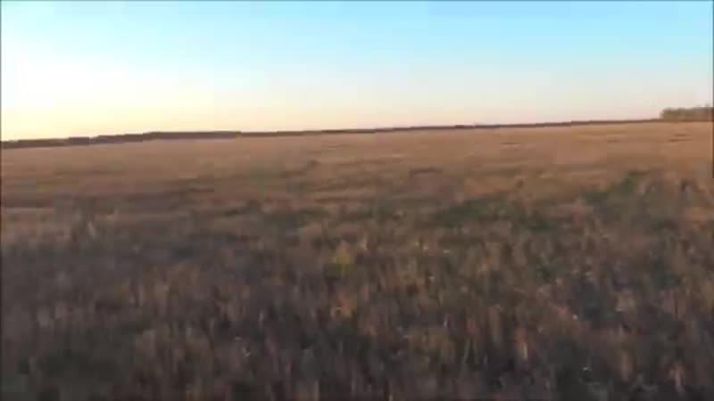 360p porn video – Охота с пневматикой часть 3 охота на тетерева [360p]