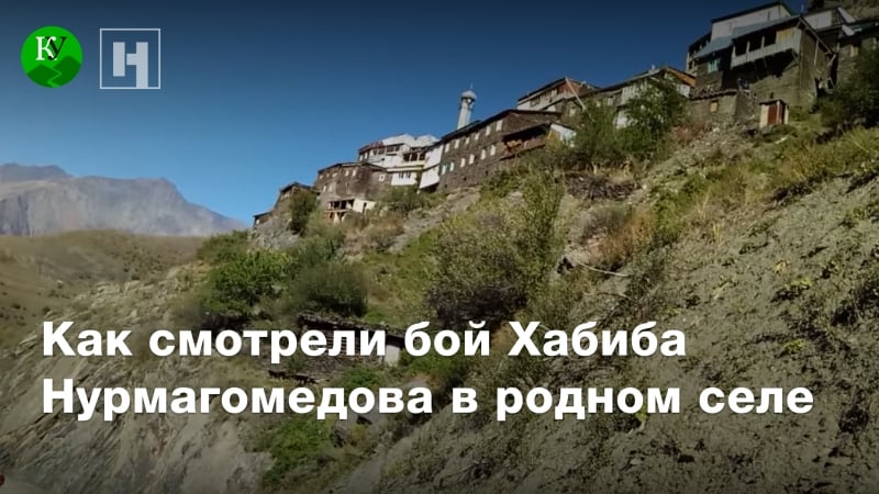 Как за хабиба нурмагомедова болели в родном селе