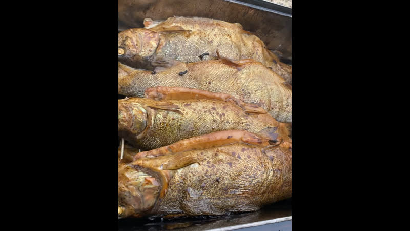 Короткий, но сочный ролик о прибывшей карельской форели
