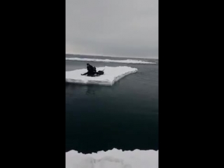 Видео дня сахалин