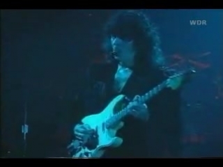 Wolf to the moon