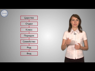 29 биология 6 систематика – наука о классификации