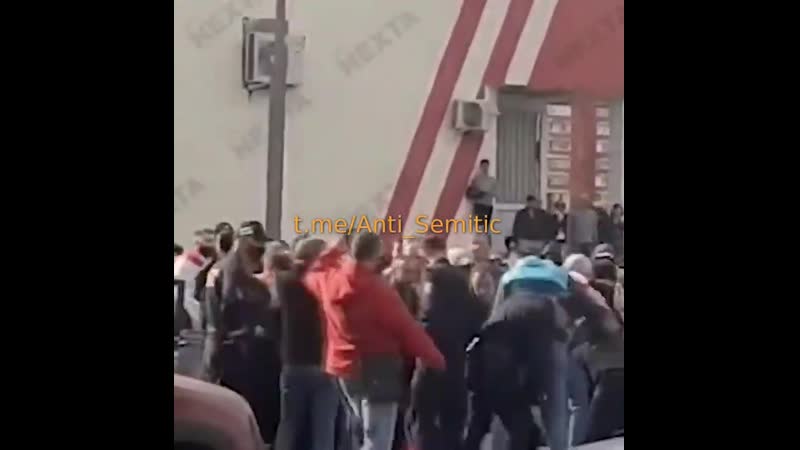 Как самки эмагар дали ладошкой слегонца по ебальнику, после чего ретивый самец эмагар сильно возмутился! {13 09 2020} 🤣😂