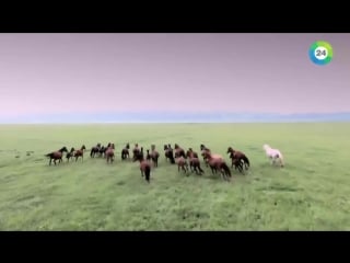 Казахивмире hot XXX porn