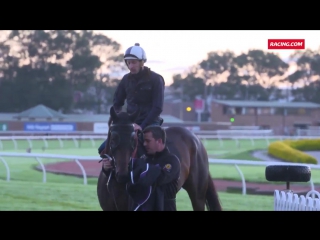 Winx at rosehill part 3