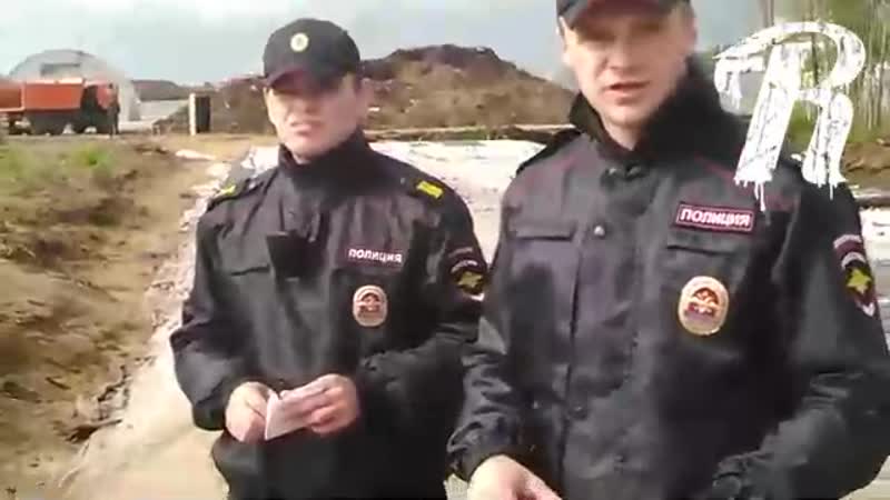 [360] перепись населения в лесу 360, mp4]