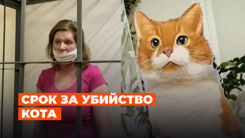 Обвиняемые по делу об молодые кота кузи получили реальные сроки