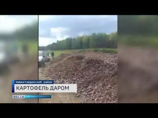 Горы выброшенного картофана