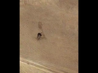 Uyghur comedy videos 20201129 1 mp4