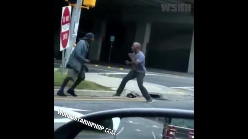 Драчка двух баклажанов