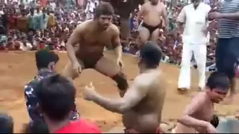 Хоба хоба хоба хоба хоба