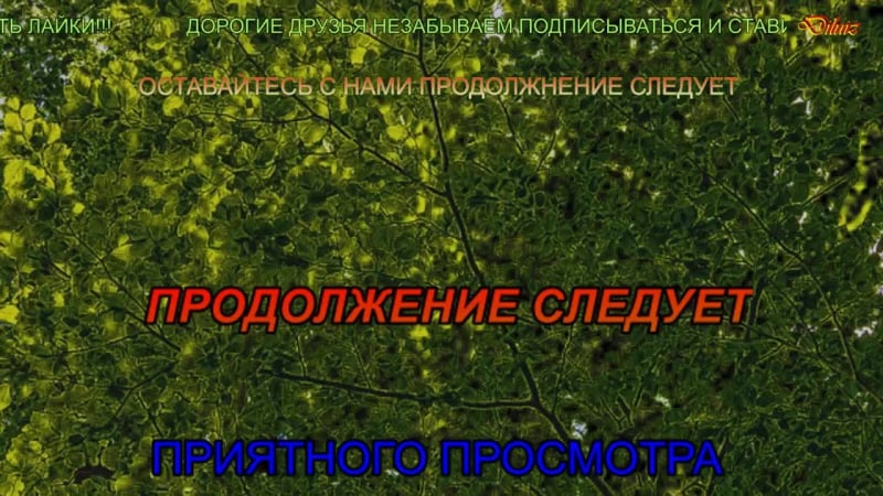 Олег гладков live