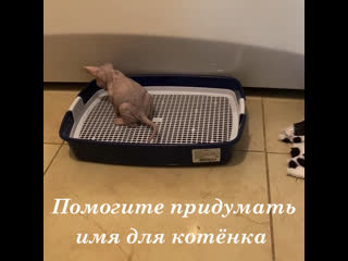 Video by natali zhemchuzhina