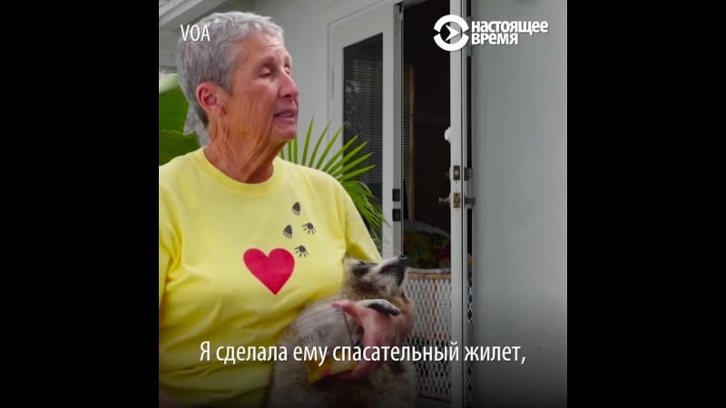 Женщина выходила парализованного енота