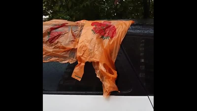 Спасибо тебе, человечище!