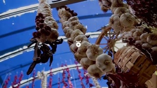 Here’s a sneak peek of soul clap in #180gr at fuorigrotta market naples enjoy!