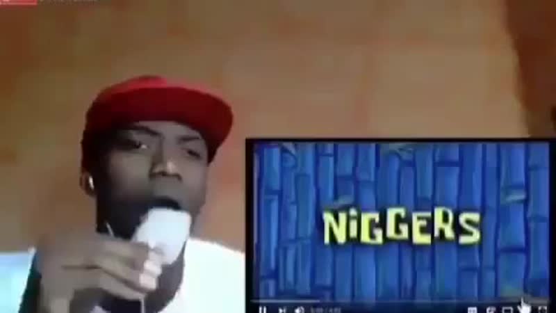 Spongebob niggers
