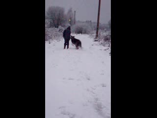 Trim 20201127 173159 mp4