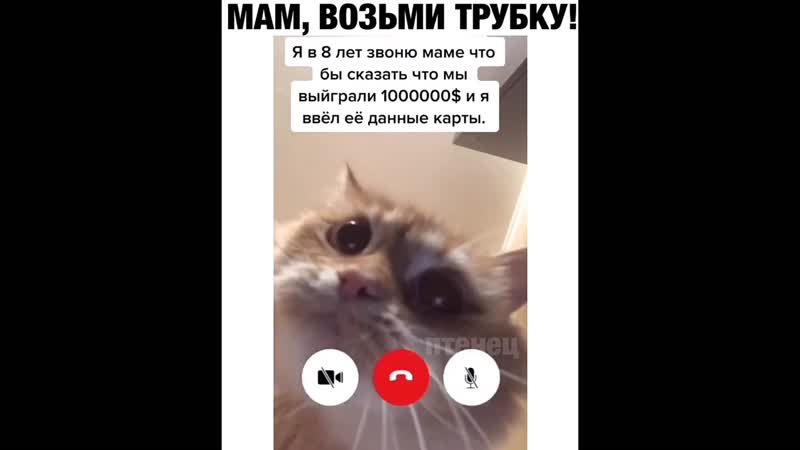 Мам, возьми трубку!