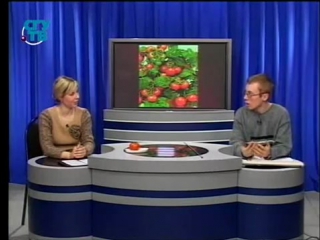 Пищевые растения урок 1 9 овощные растения часть 2