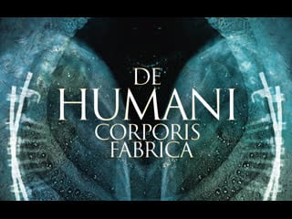 The fabric of the human body / de humani corporis fabrica (2022) dir lucien castaing taylor & verena paravel