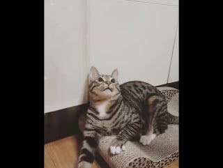 ~ waveya ari @ arang ~