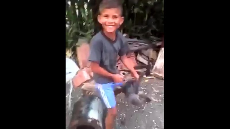 Мелкий куриный маньяк