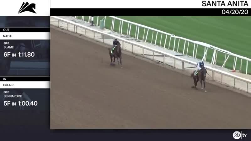 Undefeated rebel stakes winner nadal outside 6f in 1 and eclair 5f in 1 worked at @santaanitapark on april 20th