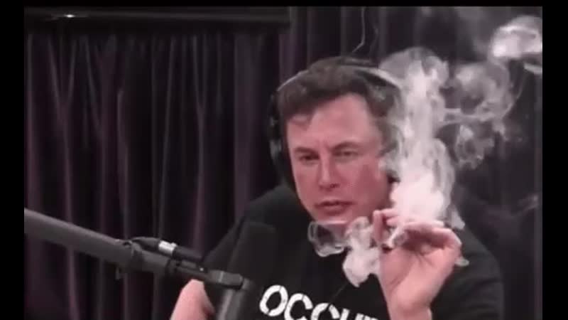 Илон маск кайфует )