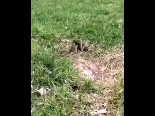 Симпатичный букетик🤭