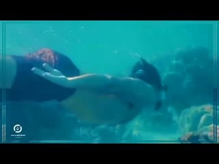 Hakan akkuş ece barak try again [the distanc