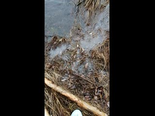 Vid 20201105 105931 mp4